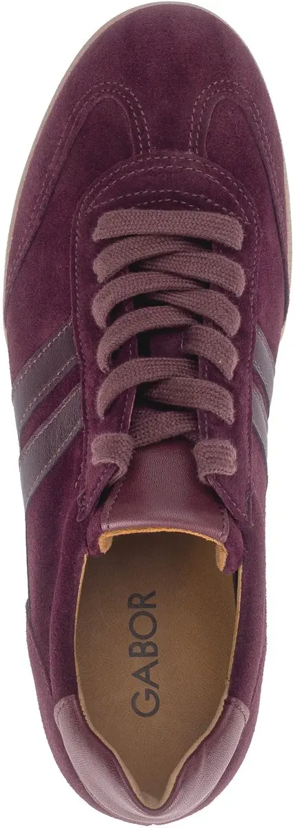 Gabor dames sneaker - Bordo - Maat 37