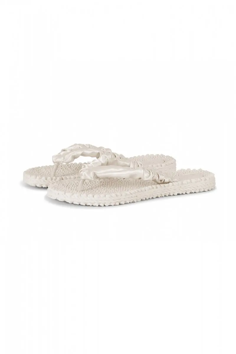 Flip Flop