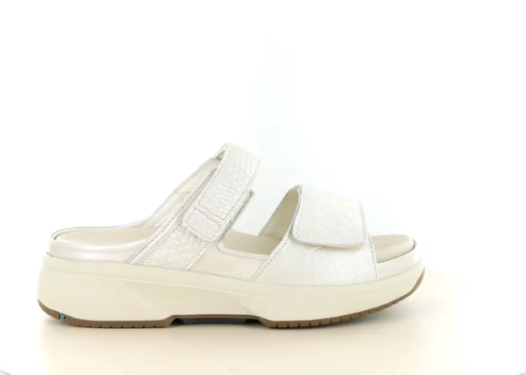 Xsensible 30709.5 wijdte H