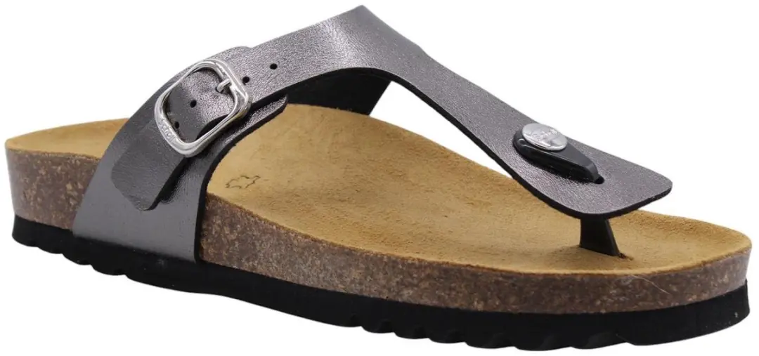 Scholl