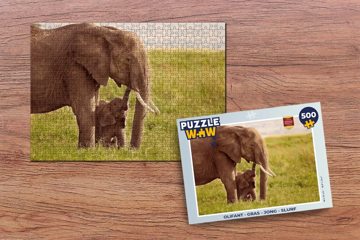 PuzzleWow Olifant Legpuzzel 500 Stuks - Multicolor
