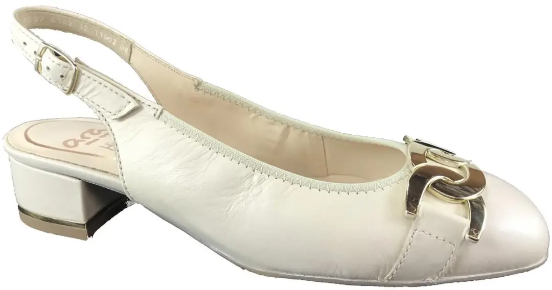 ARA PUMP