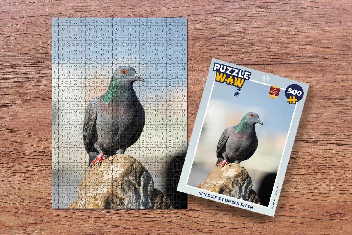 PuzzleWow Legpuzzel Een duif zit op een steen 500 Stuks