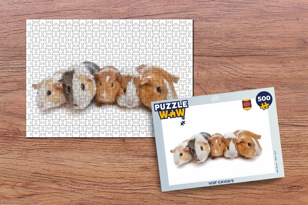 PuzzleWow Vijf cavia's Legpuzzel 500 Stuks - Multicolor
