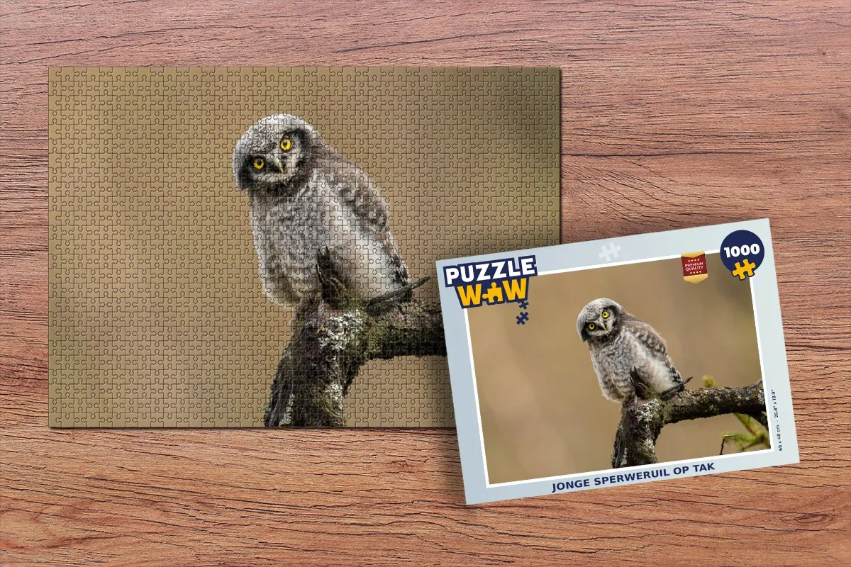 PuzzleWow Sperweruil Legpuzzel 1000 Stuks - Multicolor