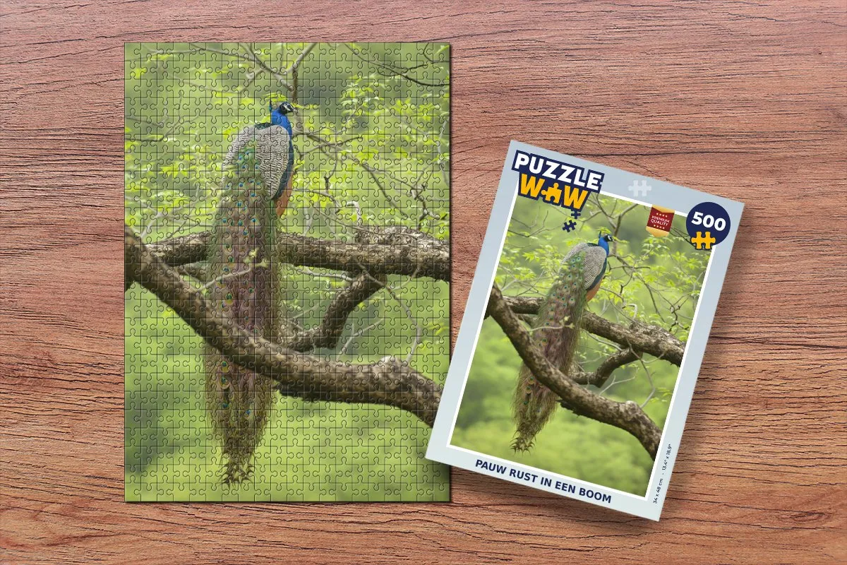 PuzzleWow Boom Legpuzzel 500 Stuks - Multicolor