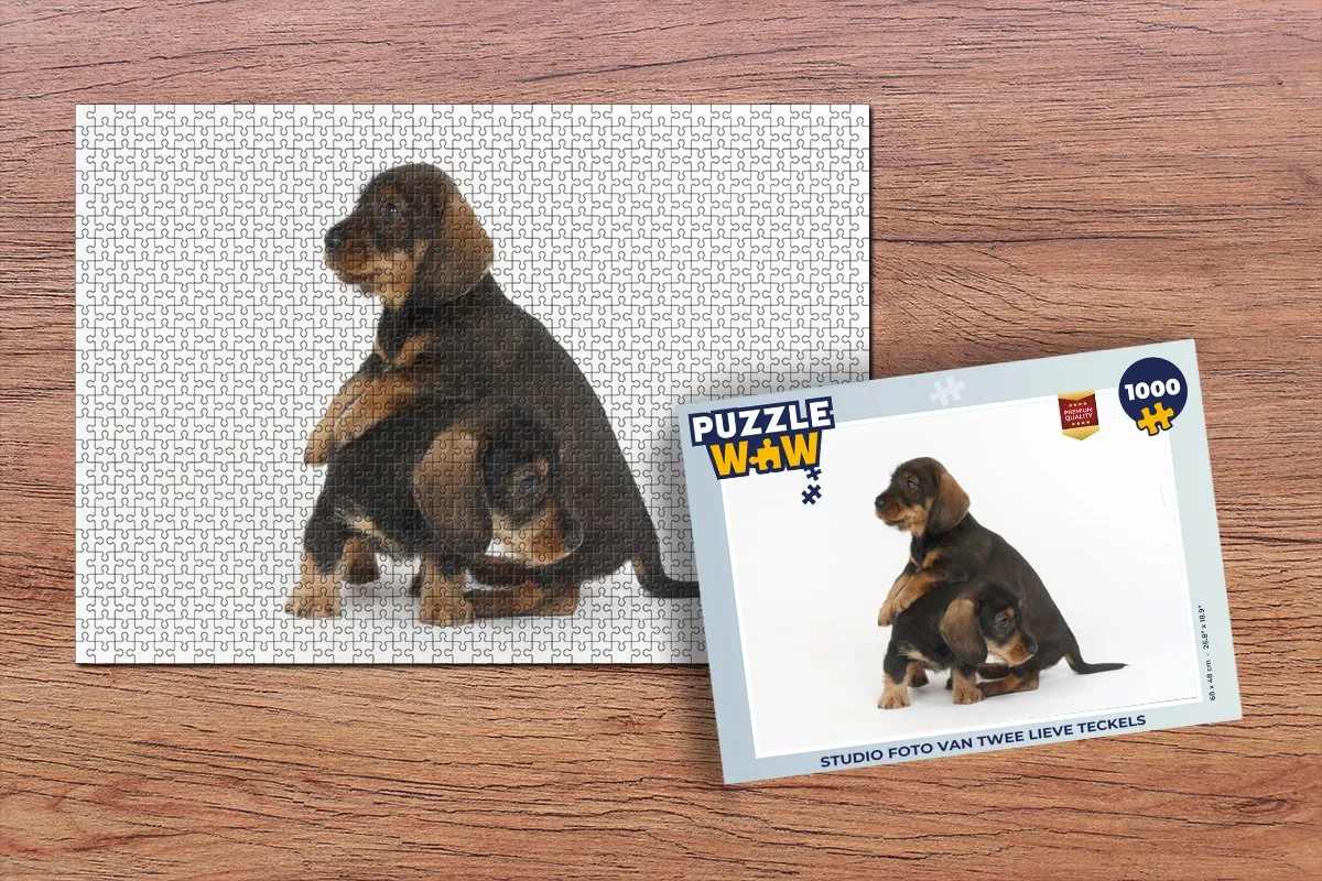 PuzzleWow Legpuzzel Teckels 1000 Stuks - Multicolor