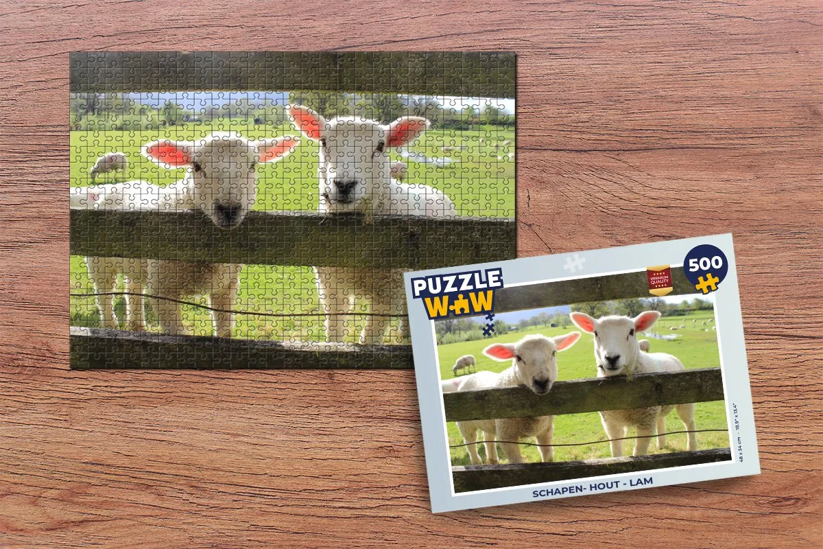 PuzzleWow Lam Houten Legpuzzel 500 Stuks - Multicolor