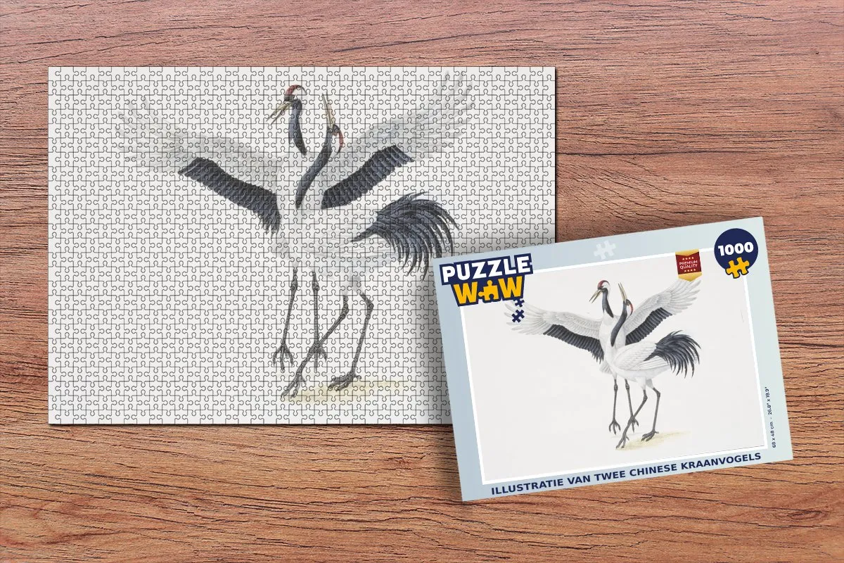 PuzzleWow Legpuzzel Chinese Kraanvogels 1000 Stuks - Multicolor