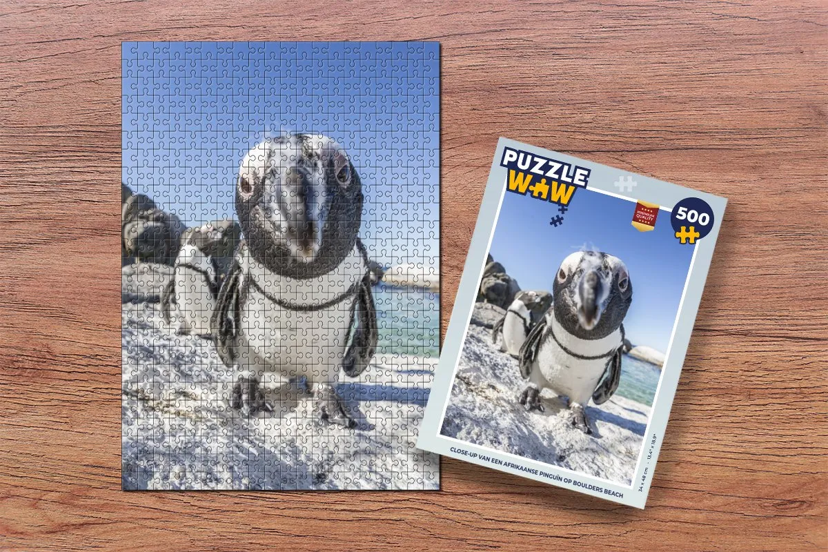 PuzzleWow Afrikaanse Pinguïn Legpuzzel 500 Stuks - Multicolor
