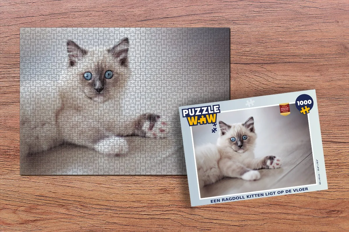 PuzzleWow Legpuzzel Ragdoll Kitten 1000 Stuks