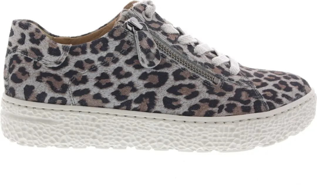 Dames Veterschoenen Hartjes Phil Shoe Leo Grau Grijs