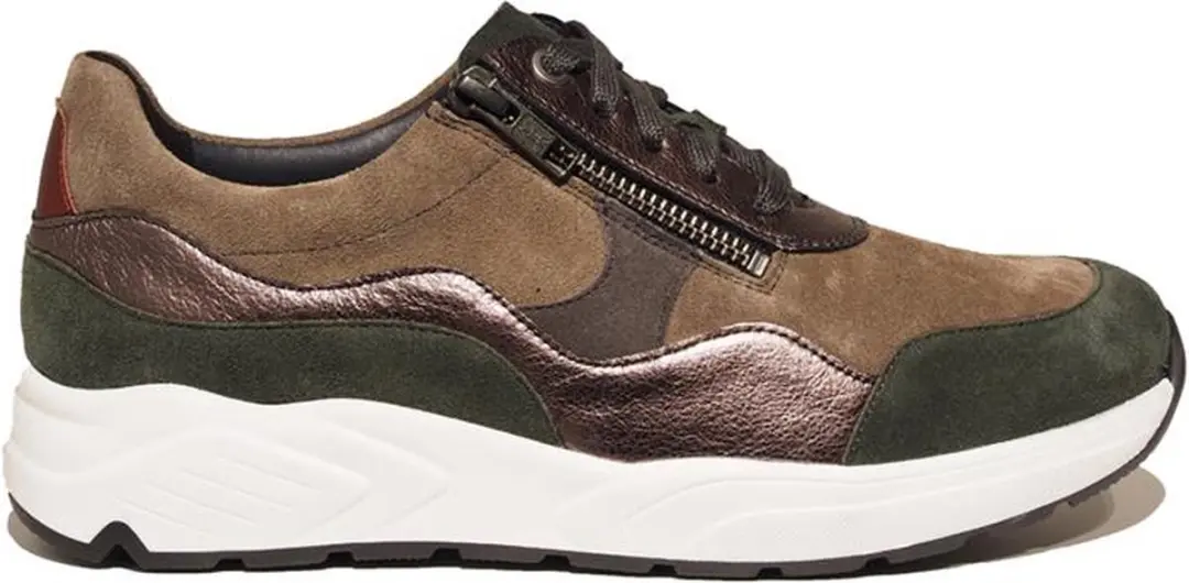 Solidus Kea forrest K (Maat