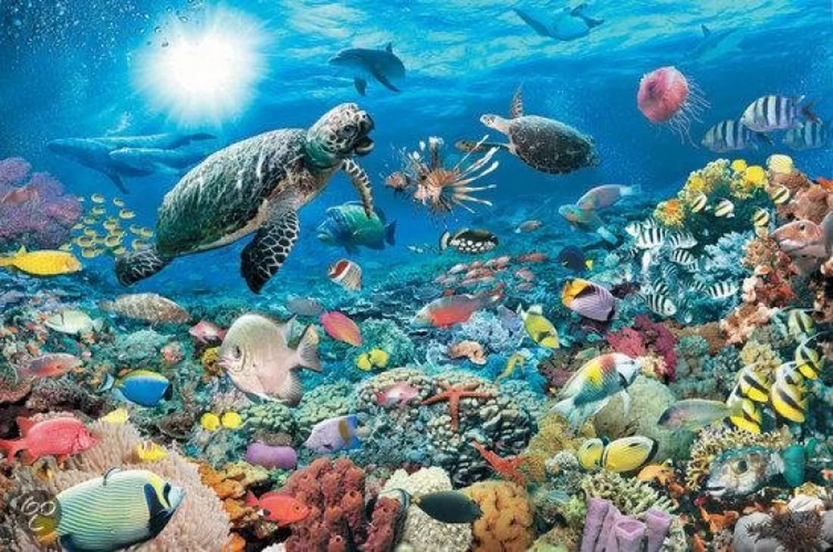 Ravensburger Leven in het Koraalrif Puzzel 5000 Stuks