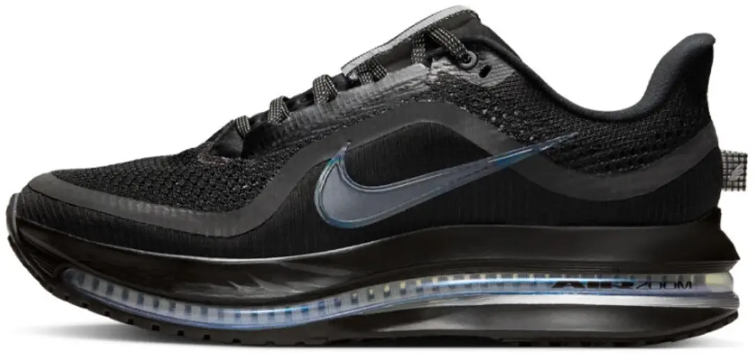 Nike Pegasus Premium