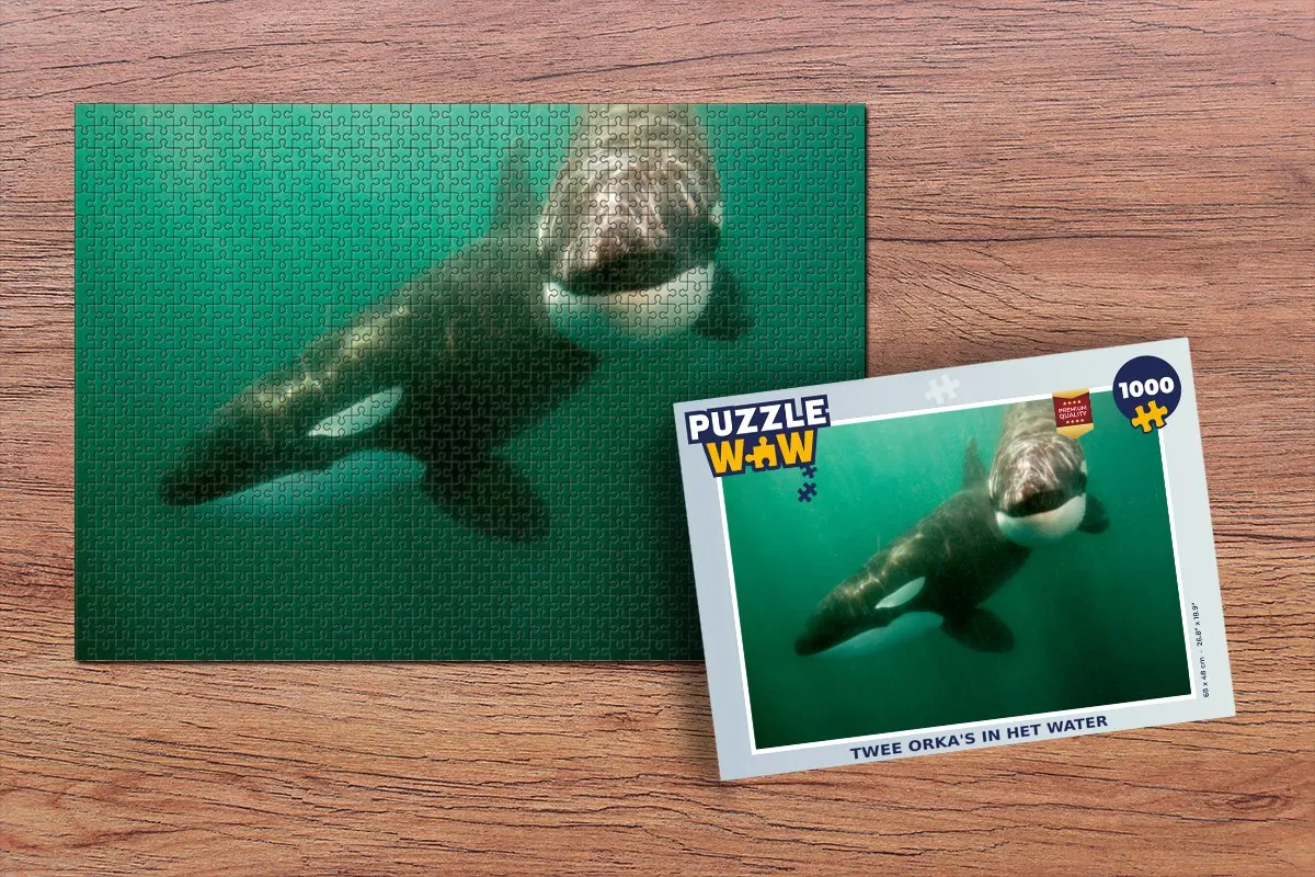 PuzzleWow Legpuzzel Twee orka's in het water 1000 Stuks - Multicolor