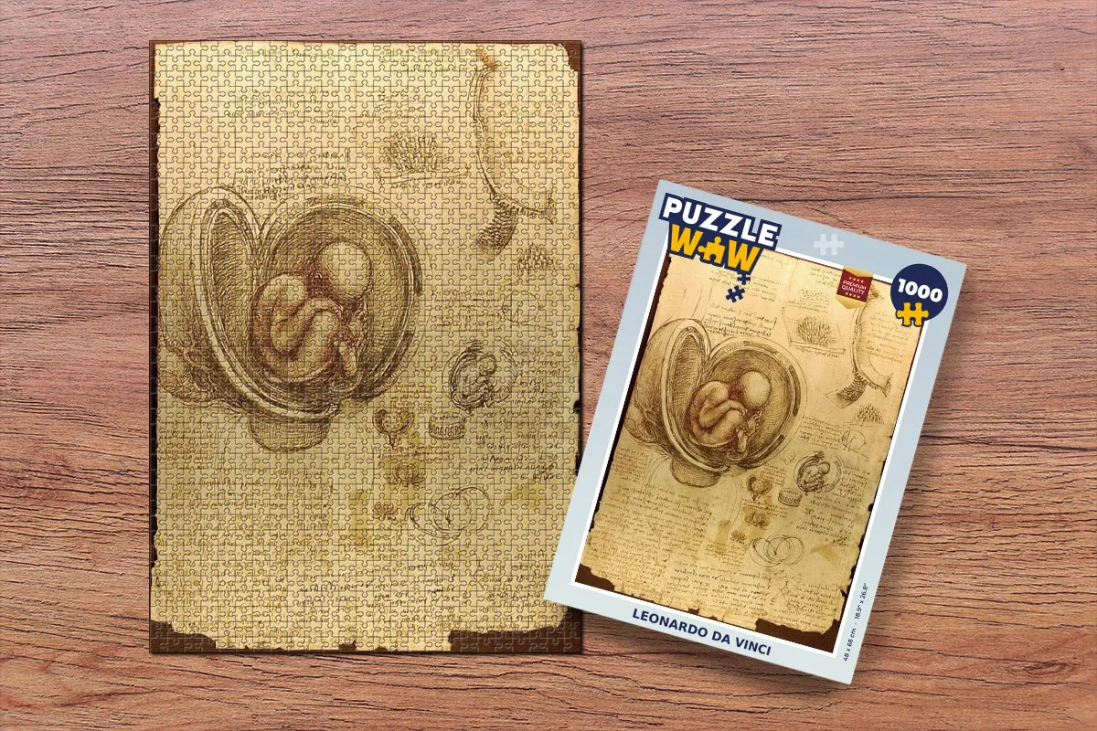 PuzzleWow Leonardo da Vinci Baby in the Womb Legpuzzel 1000 Stuks - Multicolor
