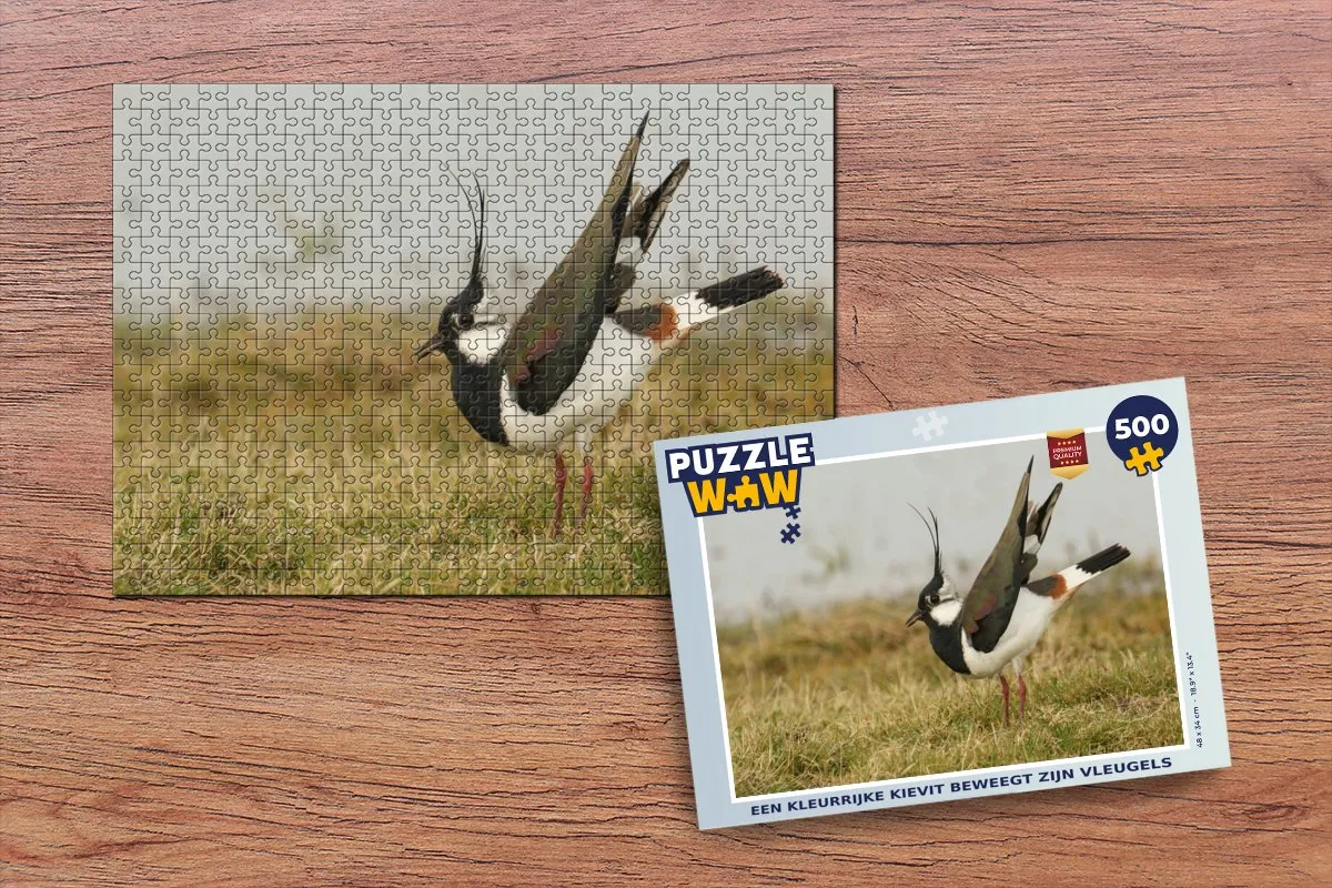 PuzzleWow Legpuzzel 500 Stuks - Multicolor