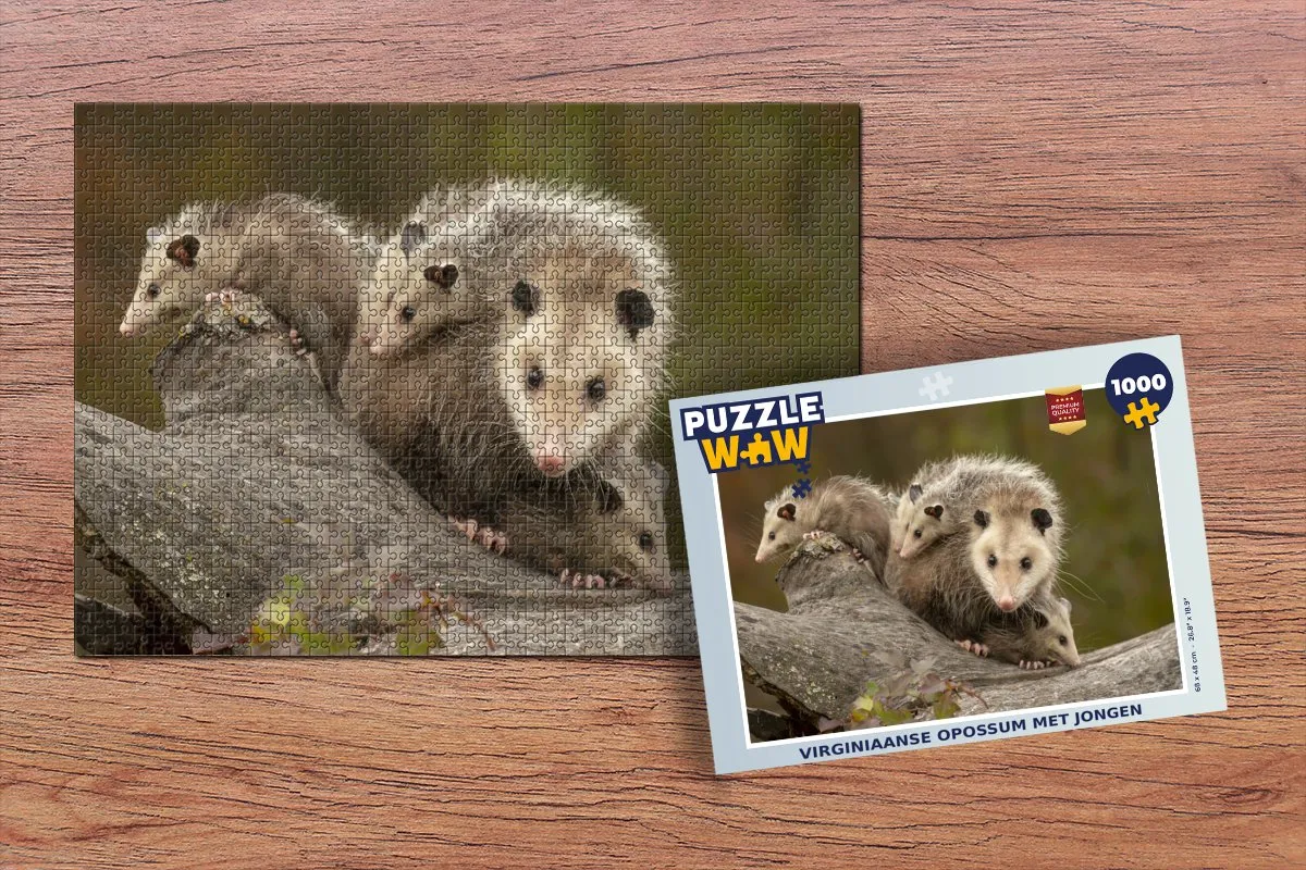 PuzzleWow Virginiaanse Opossum Legpuzzel 1000 Stuks - Multicolor