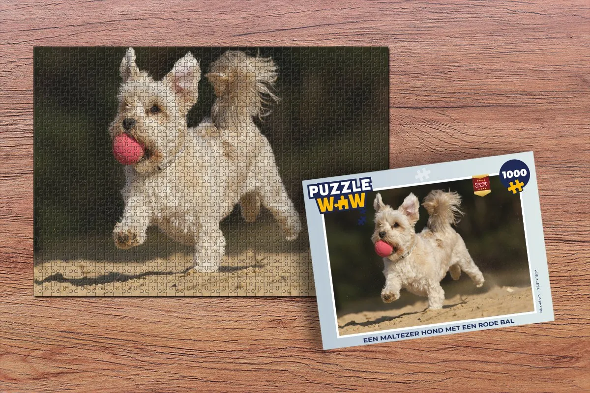 PuzzleWow Legpuzzel Maltezer Hond Rode Bal 1000 Stuks - Multicolor