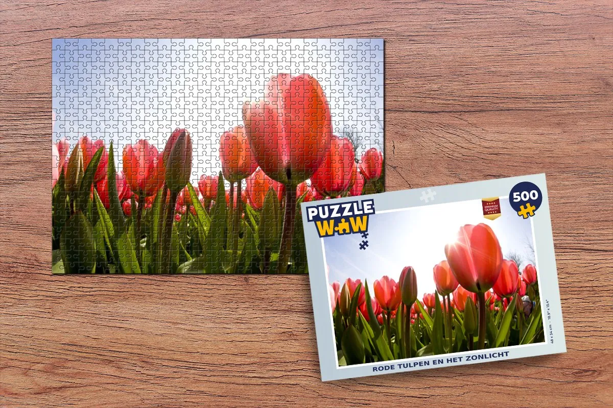 PuzzleWow Legpuzzel Rode tulpen en het zonlicht 500 Stuks - Multicolor