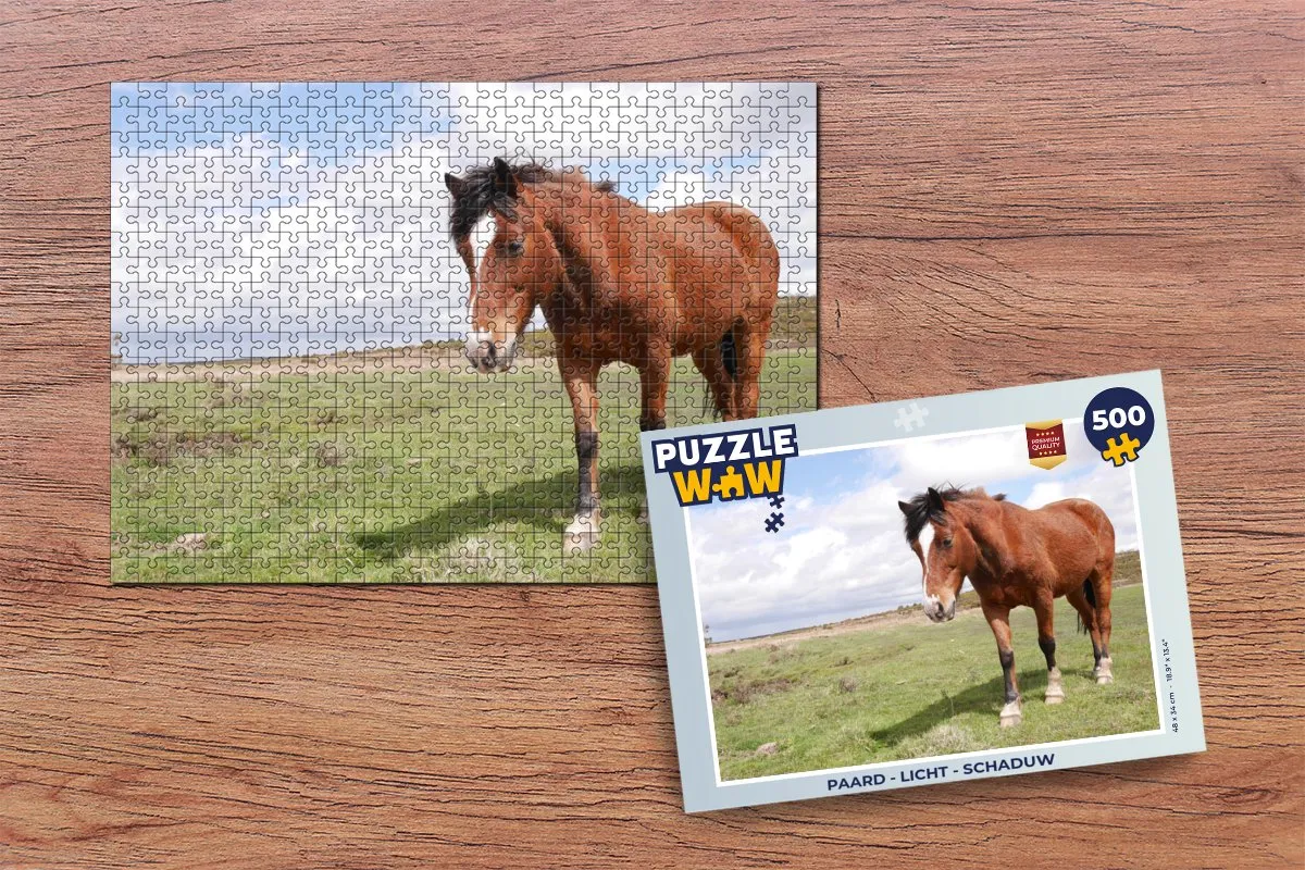 PuzzleWow Paard Licht Schaduw Legpuzzel 500 Stuks - Multicolor
