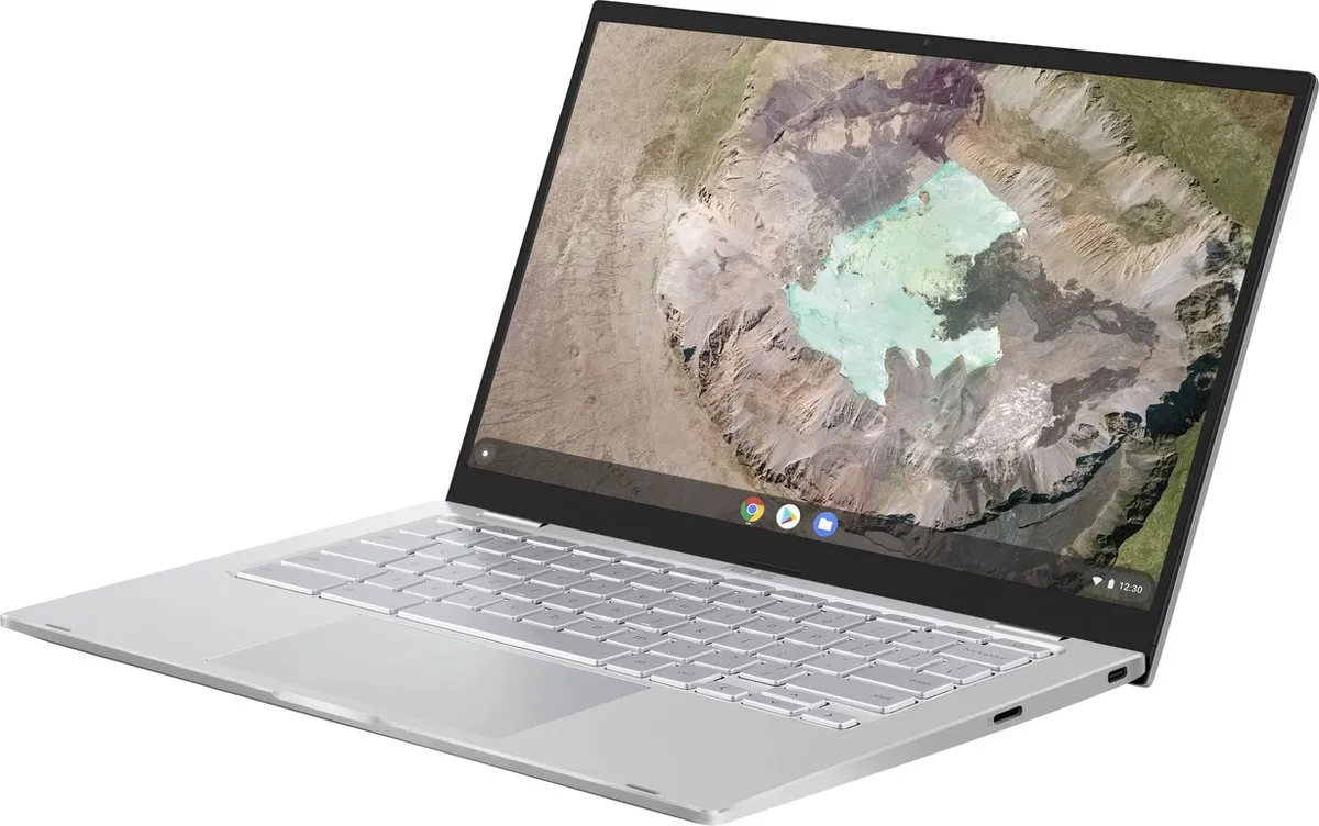 ASUS Chromebook C425TA-H50334 - 14" Full HD - 4GB/128GB - Zilver