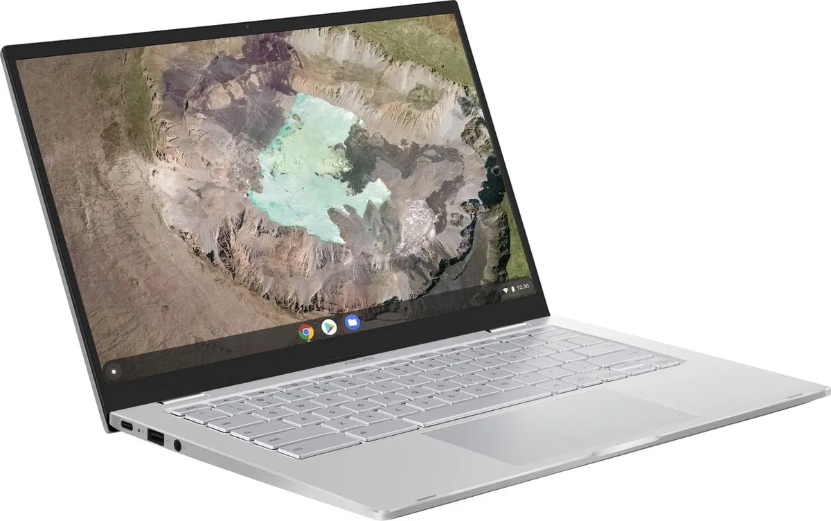 ASUS Chromebook C425TA-H50334 - 14" Full HD - 4GB/128GB - Zilver
