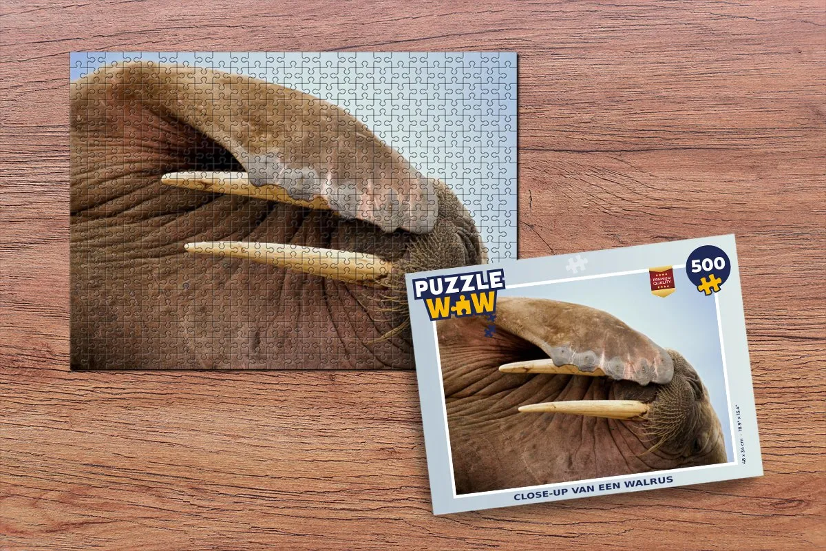 PuzzleWow Walrus Legpuzzel 500 Stuks - Multicolor