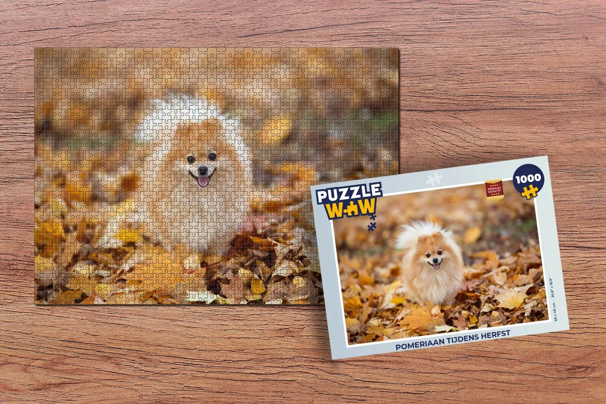 PuzzleWow Legpuzzel Pomeriaan Herfst 1000 Stuks - Multicolor