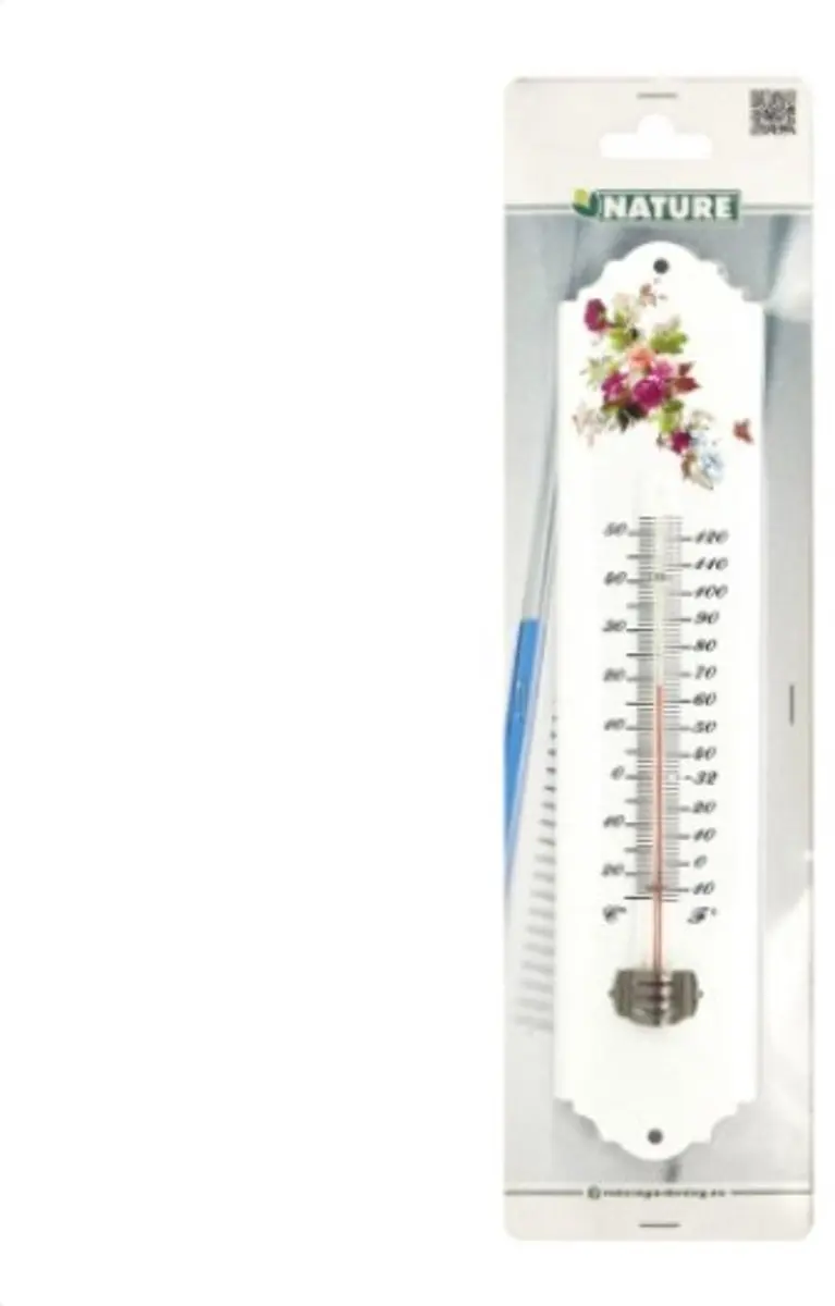 Nature Buitenwandthermometer Epoxymetaal - Wit