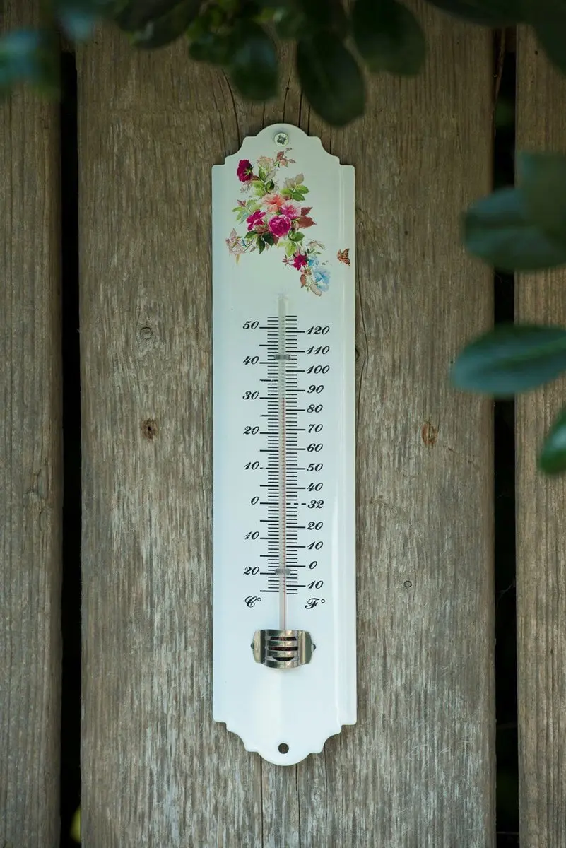 Nature Buitenwandthermometer Epoxymetaal - Wit