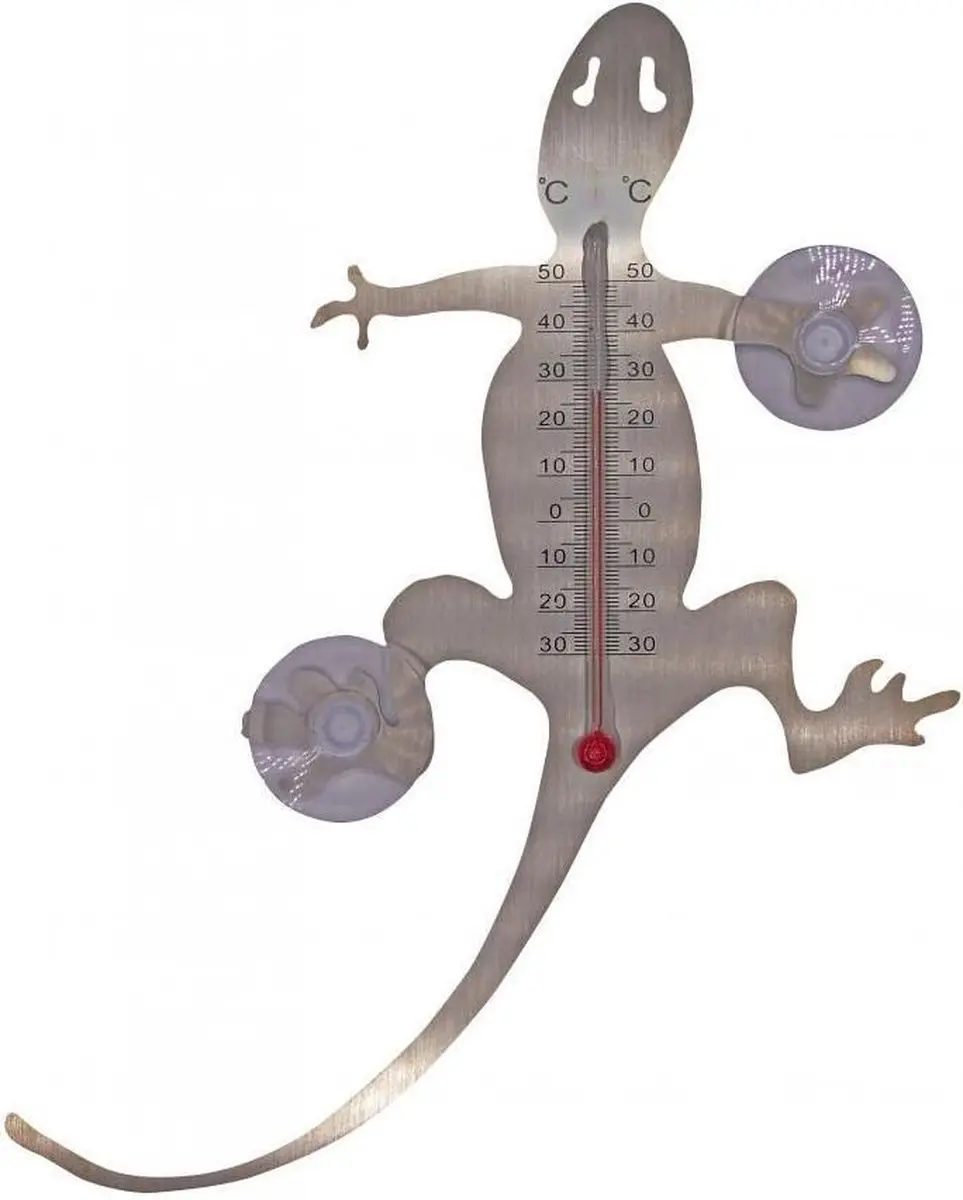 Raamthermometer metaal met zuignappen salamander 20x16x1 cm