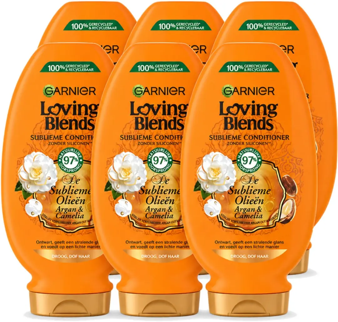 6 x Garnier