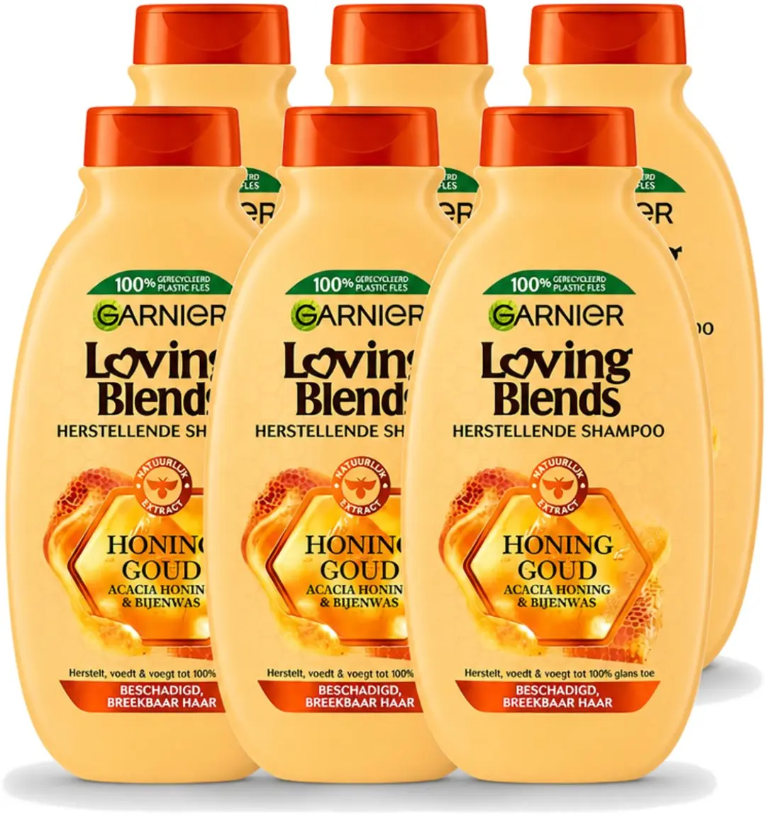 6 x Garnier