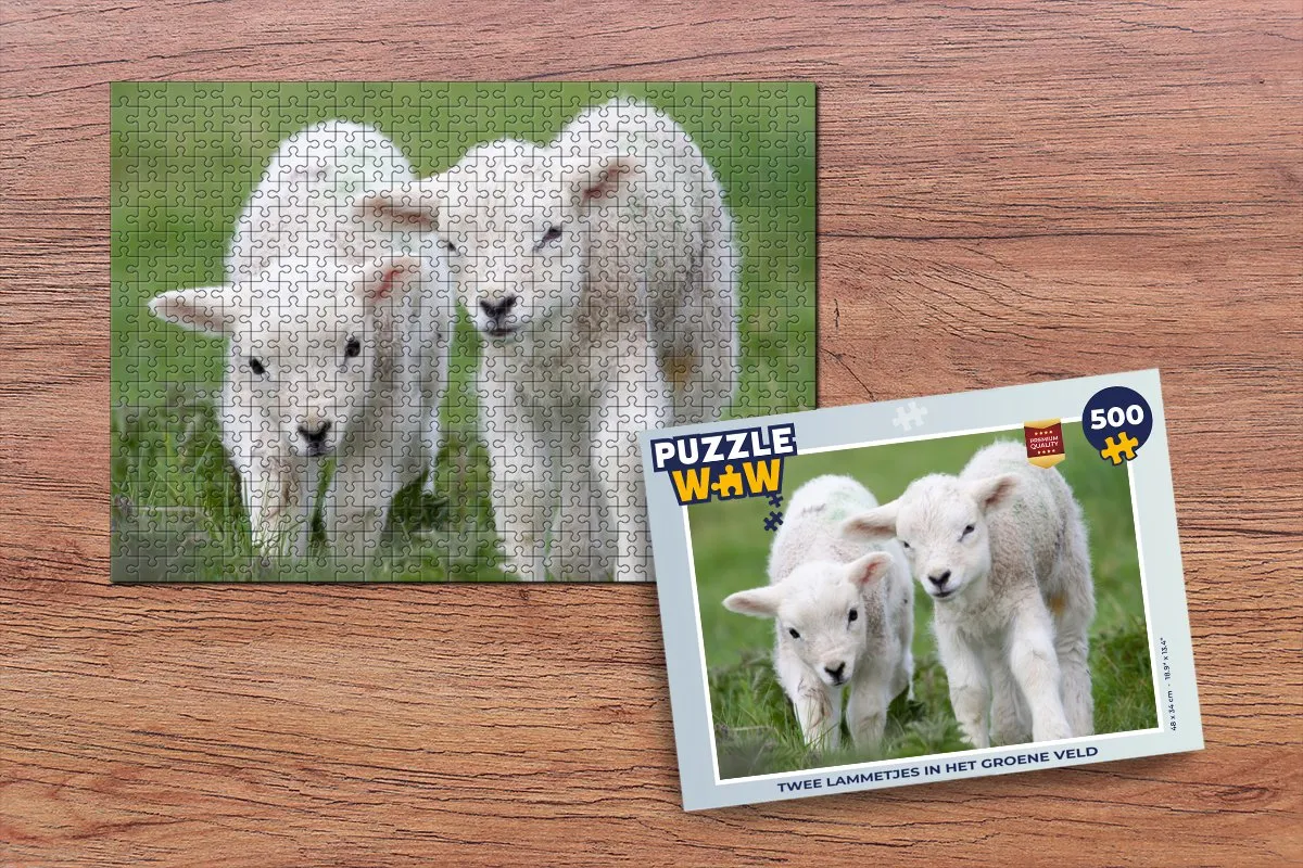 PuzzleWow Legpuzzel Twee lammetjes in het groene veld 500 Stuks - Multicolor