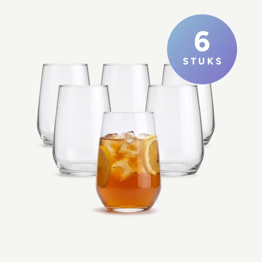 Royal Leerdam Enjoy The Moment Longdrinkglazen 45cl - Set van 6