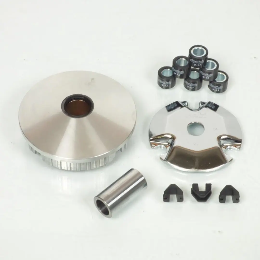 Variateur Polini pour Scooter Kymco 50 Dink Neuf