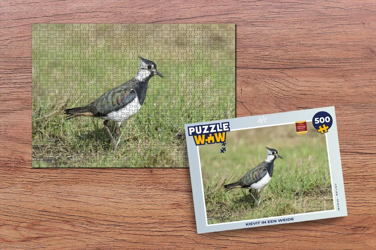 PuzzleWow Kievit in een Weide Legpuzzel 500 Stuks - Multicolor