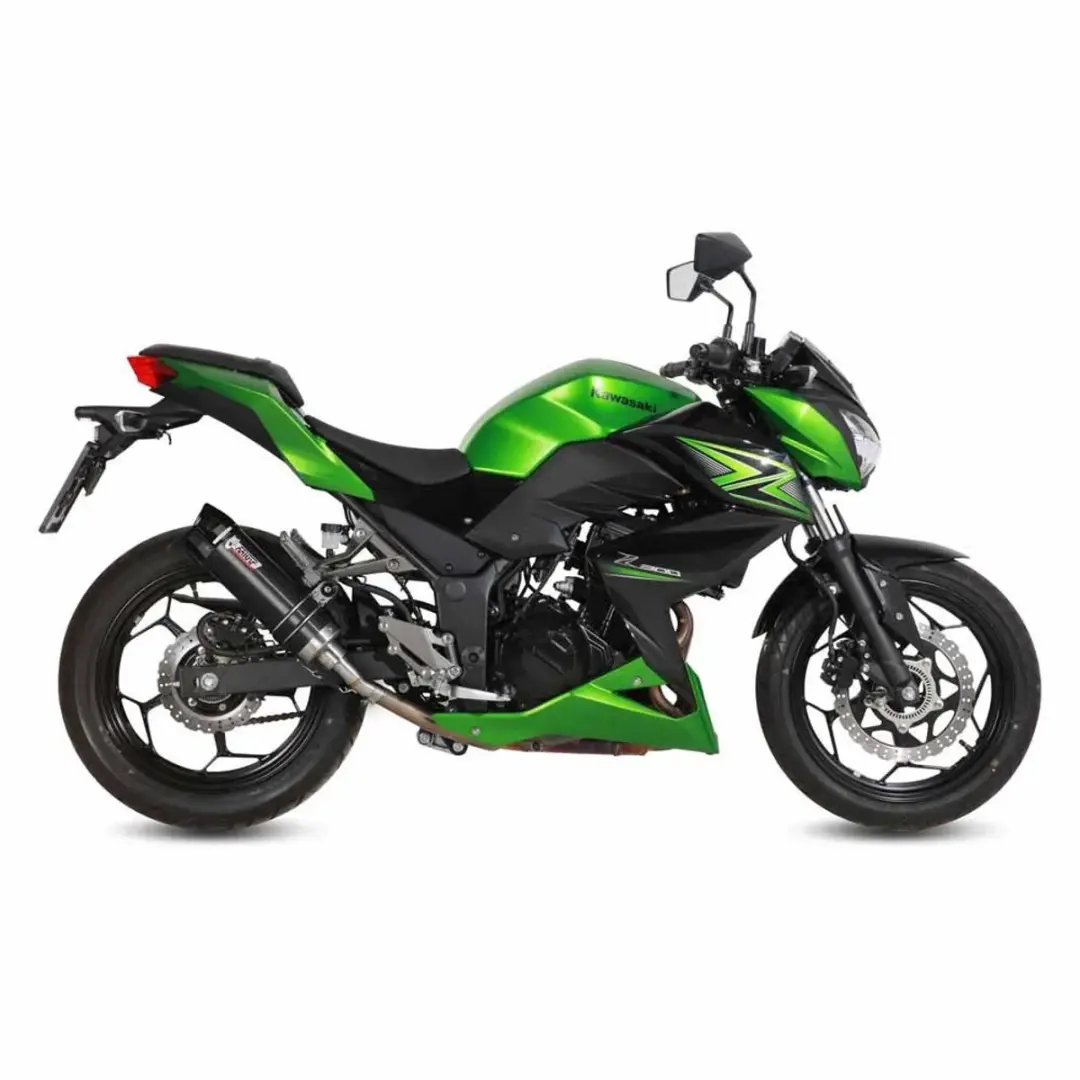 Mivv GP Kawasaki Ninja 300/Z300 Slip-On Uitlaatdemper - Zilver - afbeelding 2 van 4