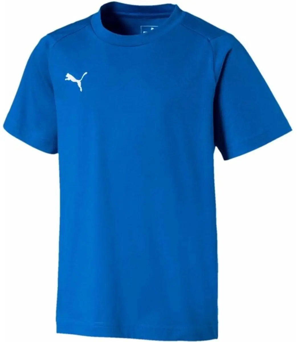 Puma Team Goal kinder T-shirt (12-14 Ani)