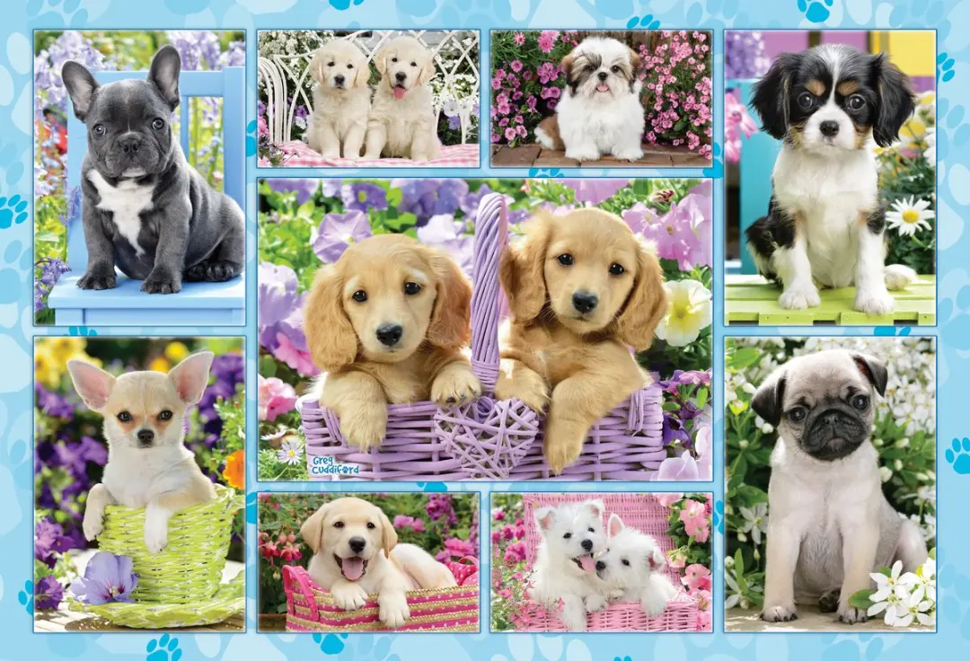 Schmidt Spiele Puppies Junior Legpuzzel 200 Stuks - Multicolor