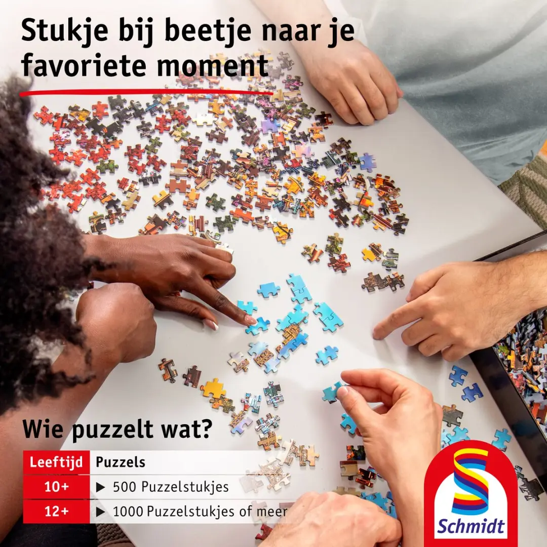 Schmidt Legpuzzel Bezoek aan Amsterdam 1000 Stuks - Meerkleurig
