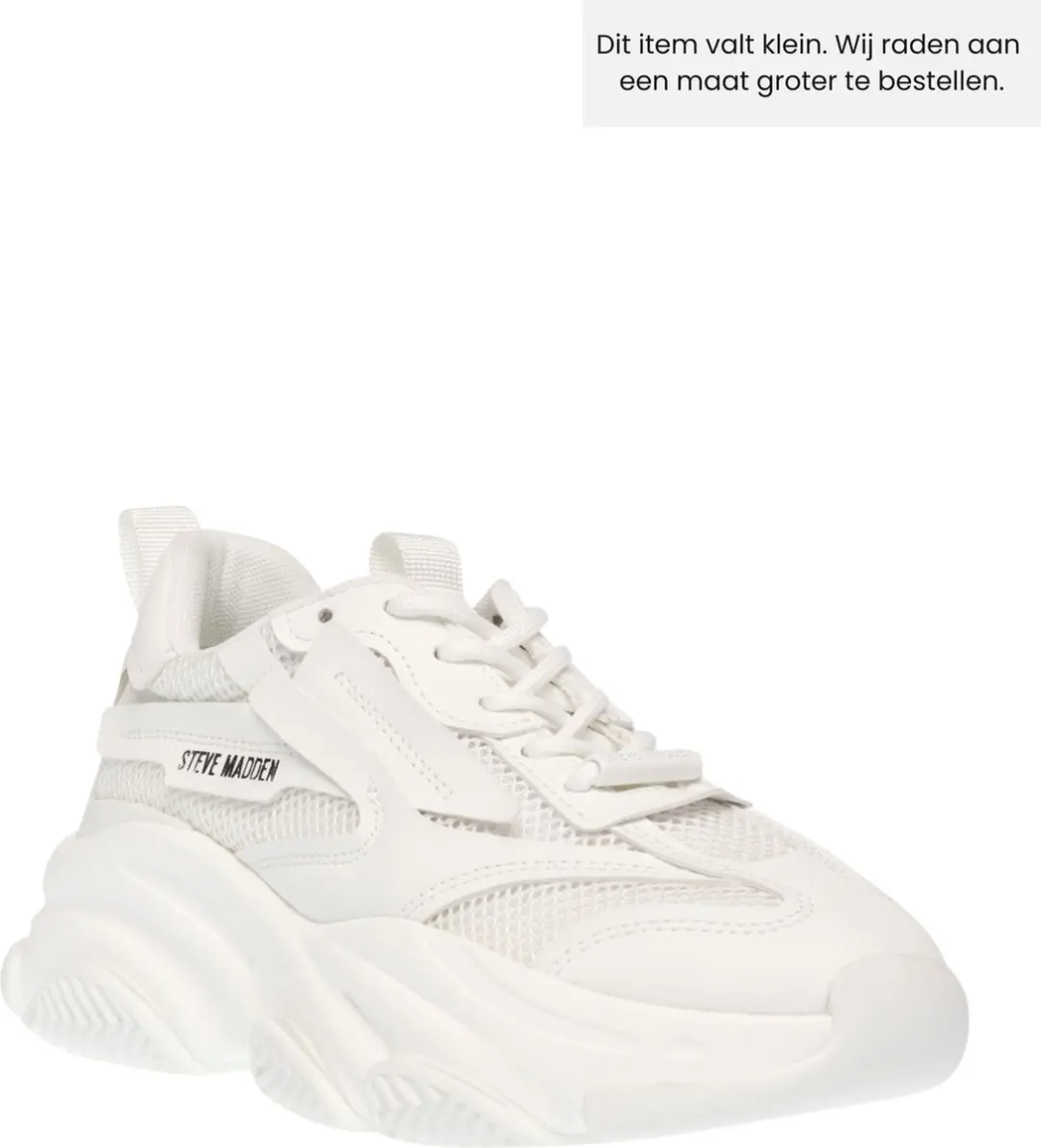 Steve Madden Possession Sneakers
