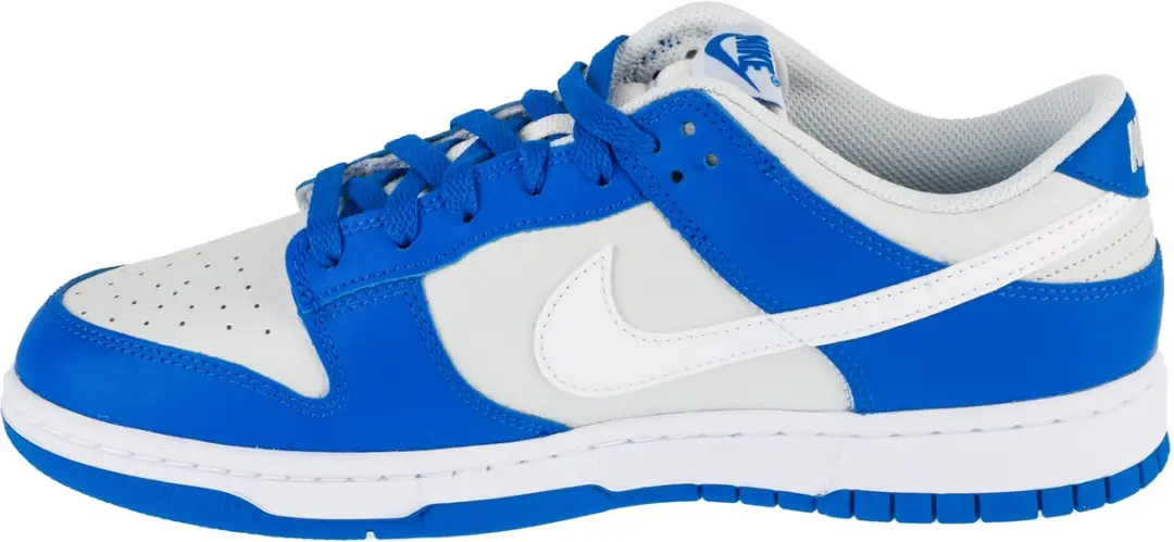 Nike Dunk Low FN3416-001 Sneakers - Grijs - Maat 47