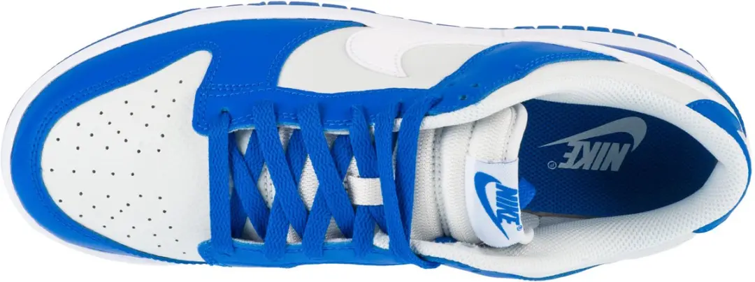 Nike Dunk Low FN3416-001 Sneakers - Grijs - Maat 47