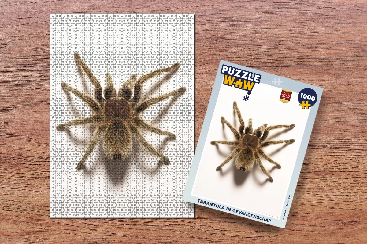 PuzzleWow Tarantula in Gevangenschap Legpuzzel 1000 Stuks - Multicolor
