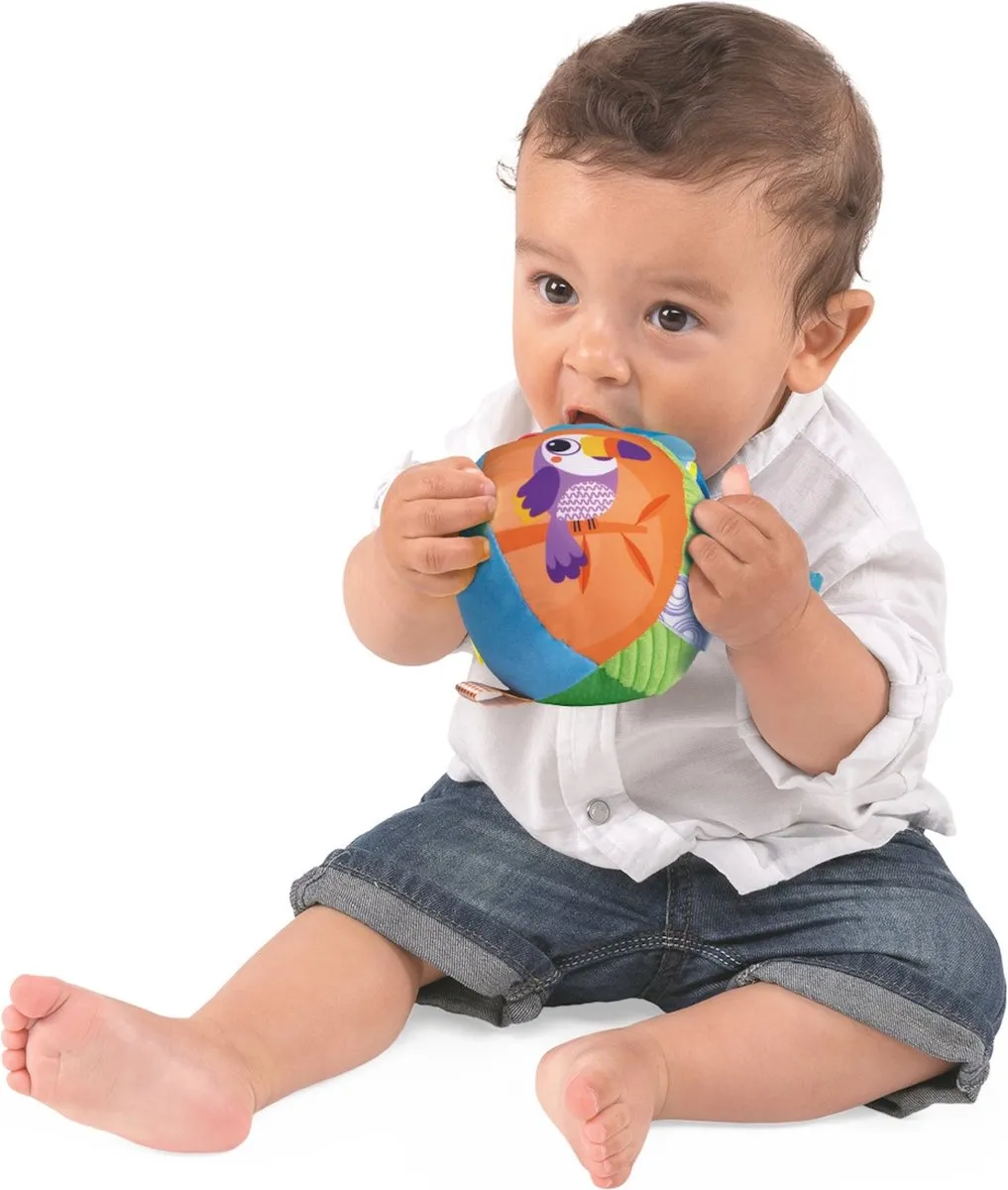 Chicco Sensory Dieren Speelbal/Buggyspeeltje 11565000000 - Meerkleurig