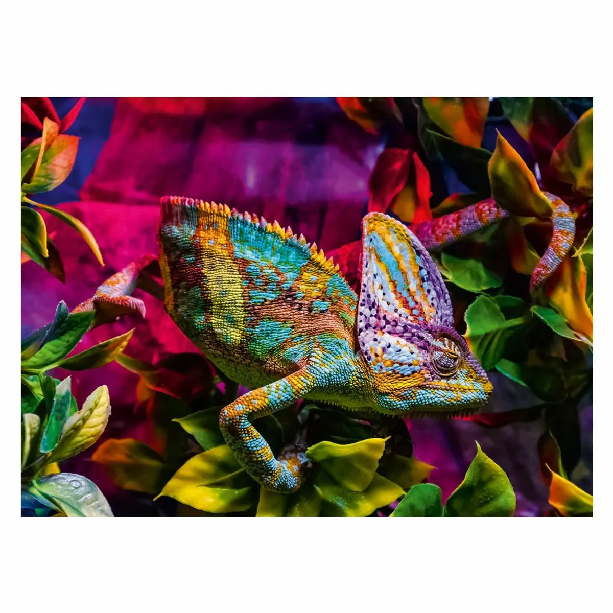 Ravensburger Chameleon Puzzel 500 Stuks - Meerkleurig