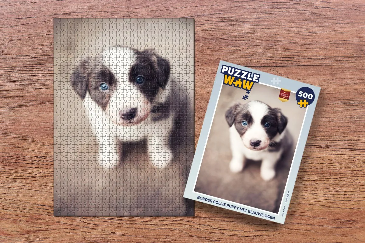 PuzzleWow Border Collie Puppy Legpuzzel 500 Stuks - Multicolor